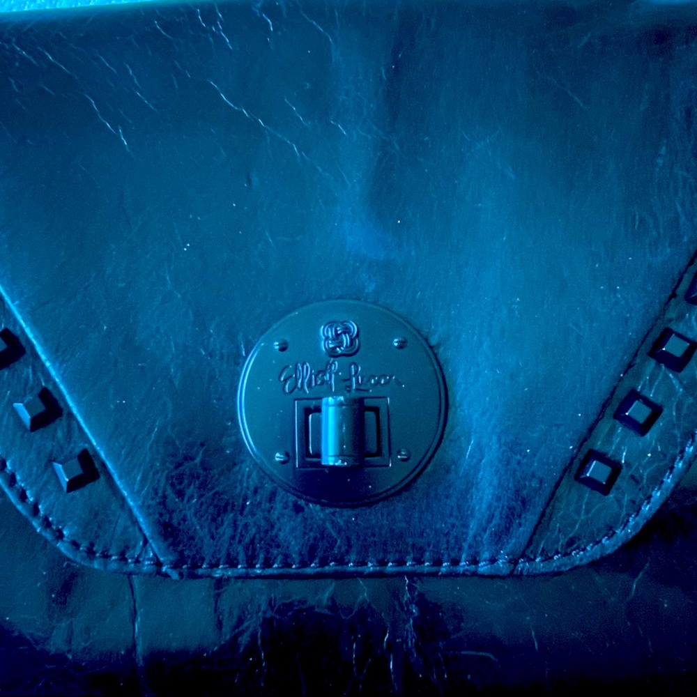 New Elliot Lucca attractive transitional clutch/shoulder bag.